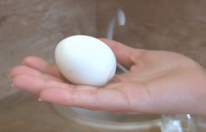 Jokainen haluaa syödä muna täydellinen Gorny! / Kuva Lähde: youtube.com/channel/UCagplR5T275T6em4AQOYNbQ