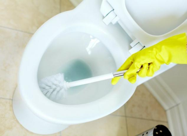 Kuinka puhdistaa wc ruuvimeisselillä?
