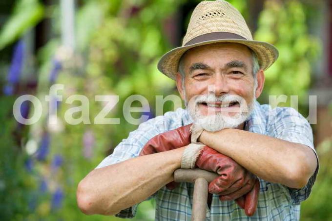 Kylttejä puutarhurit. Havainnollistamiseen artikkeli käytetään tavallisen ajokortin © ofazende.ru