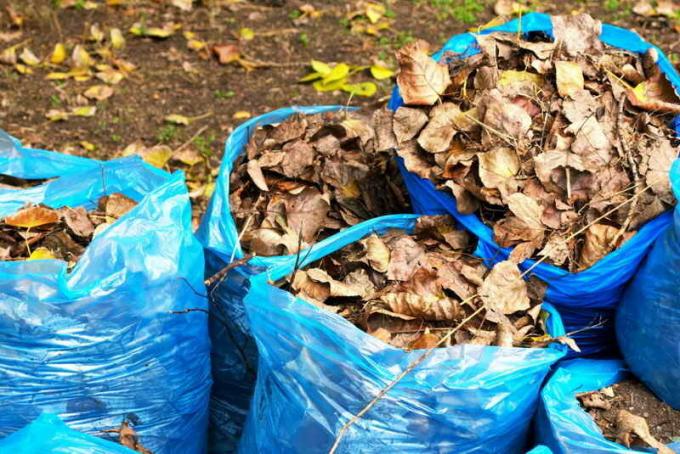 Komposti pusseihin pudonneet lehdet. Havainnollistamiseen artikkeli käytetään tavallisen ajokortin © ofazende.ru