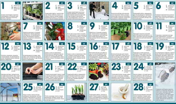 Kalenteri puutarhuri