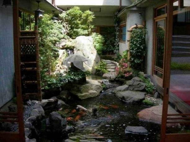 Veden puutarha sisäpihalla: Vinkkejä puutarhurit