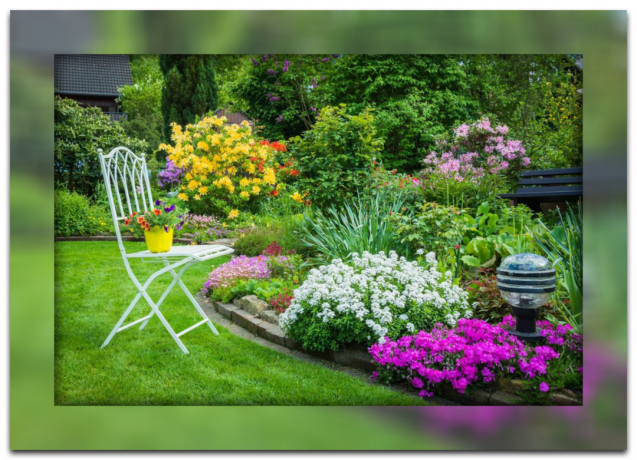 5 vaatimaton kasvi varten "laiska" puutarha, joka hoitaa kauneutta sivuston itse