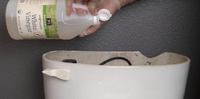 Täytä etikka wc tappaa kaikki bakteerit. 