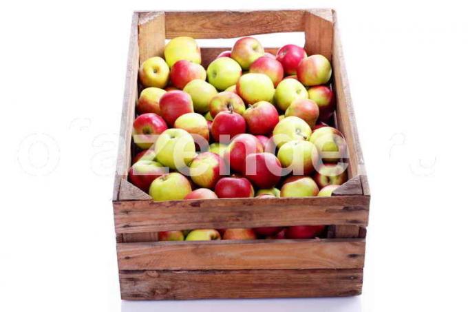Keeping omenat. Havainnollistamiseen artikkeli käytetään tavallisen ajokortin © ofazende.ru