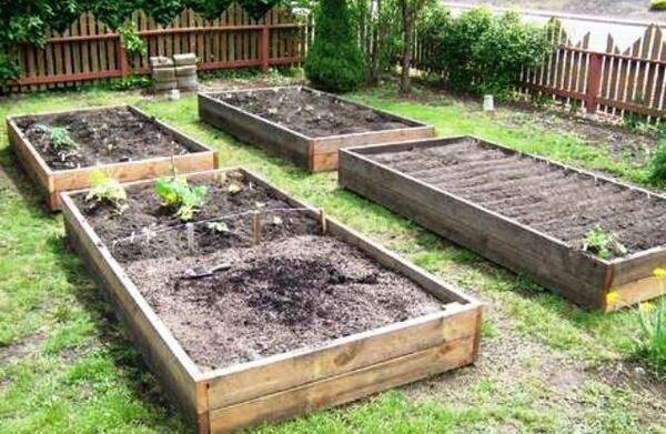 Miten parantaa savimailla puutarhan ilman suuria investointeja. kokemukseni